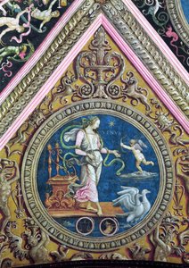 Venus, de la Sala dell